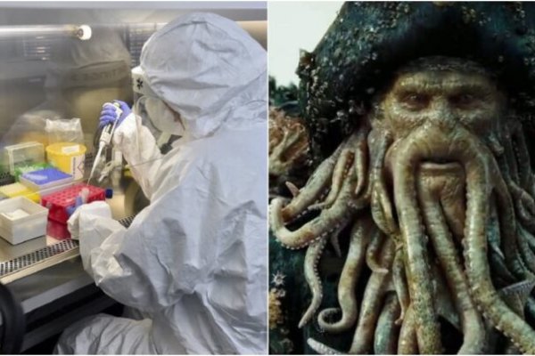 Kraken новая ссылка