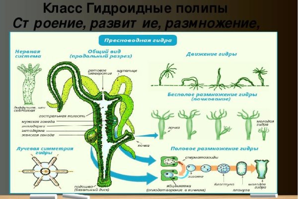 Оригинальные ссылки кракена