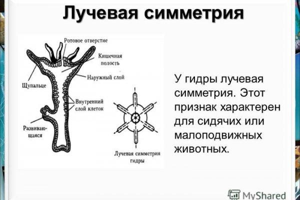 Кракен даркнет ссылка kraken link24 info