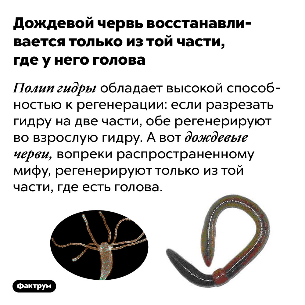 Onion сайт кракен